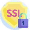 SSL security